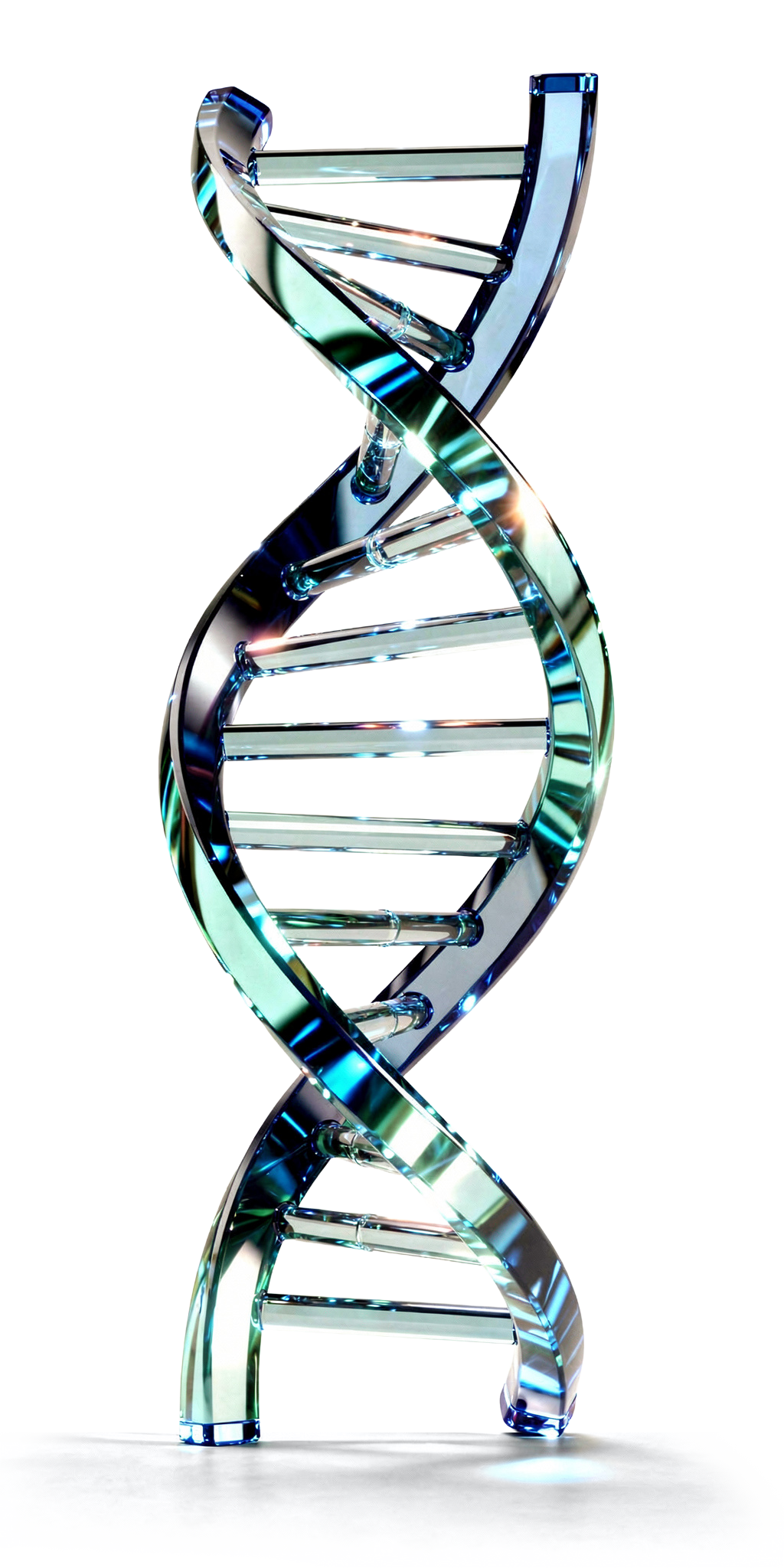 DNA Sarmalı